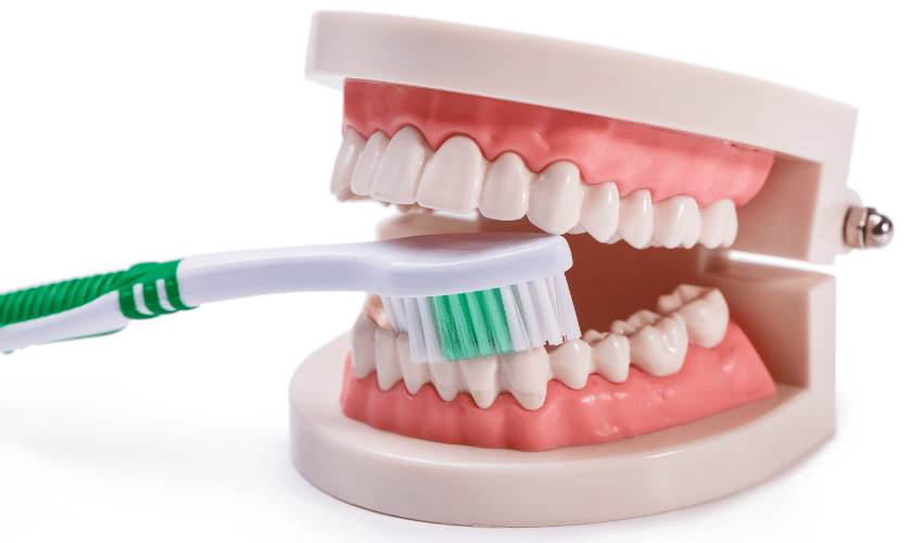 Dental implants can last a lifetime with proper care